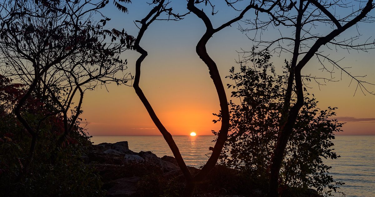 Sun rising over Lake Ontario framed by silhouetted trees